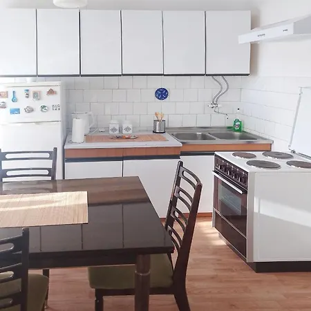 Dunavska Panorama Apartment Golubac